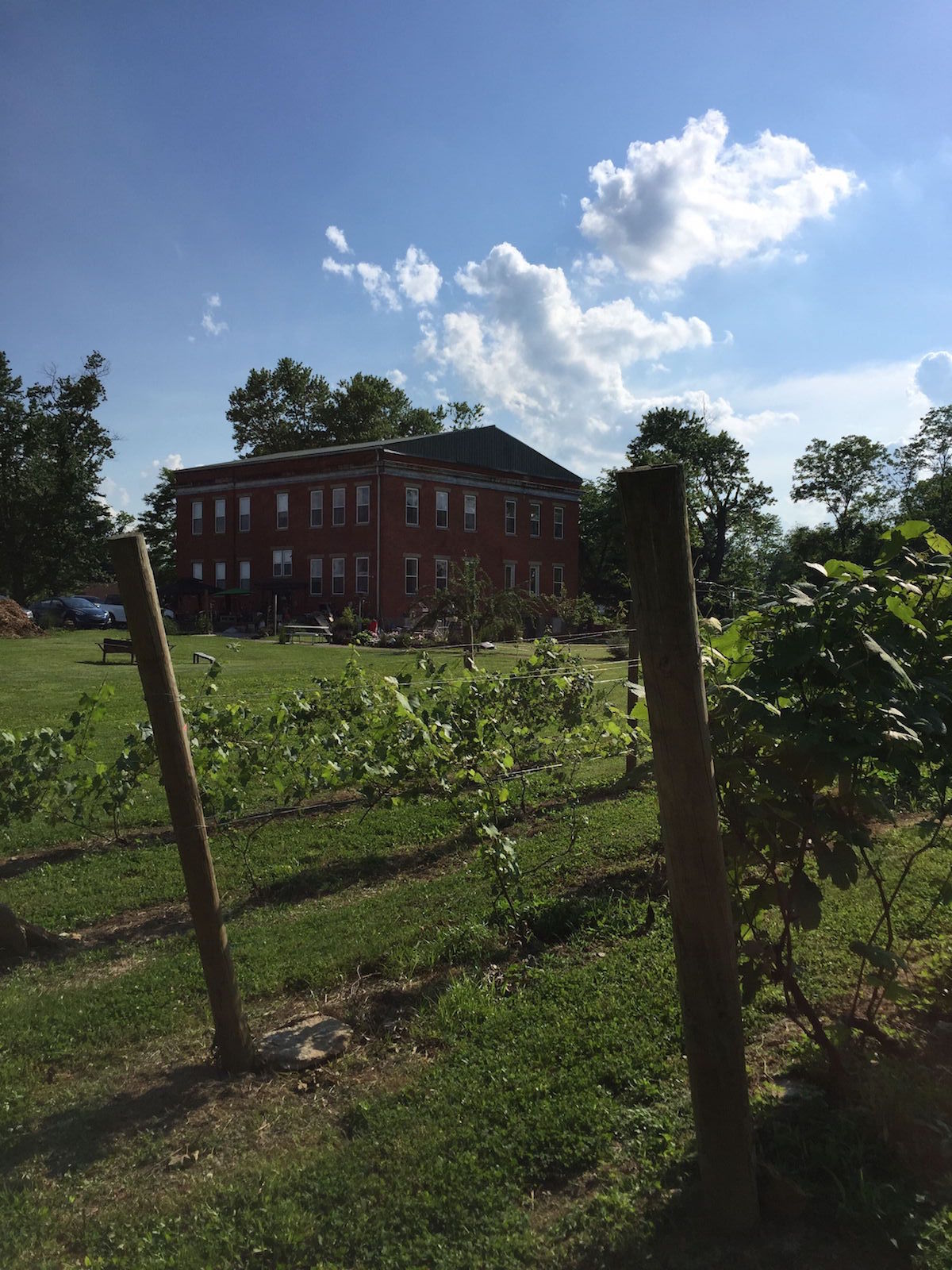Historic Schoolyard Winery Verona Kentucky Schoolhouse grounds